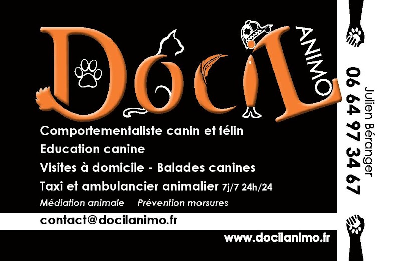 Docil'Animo — dogsitter à Vitré