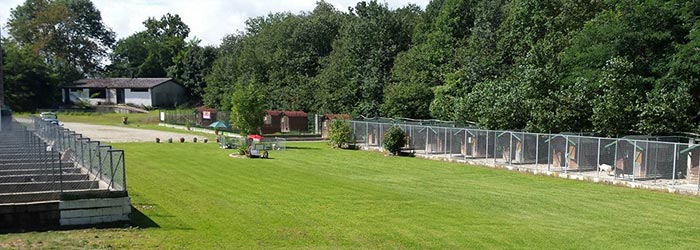 Dog Story — dogsitter à Bourgoin-Jallieu