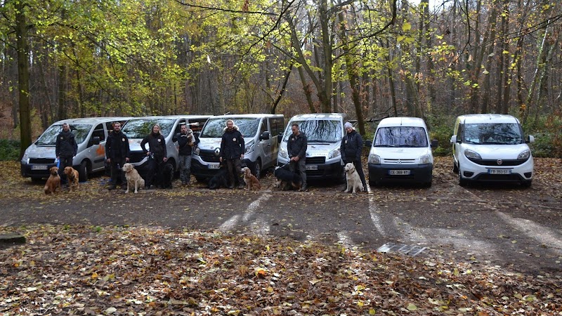 Doggies et Compagnie — dogsitter à Paris