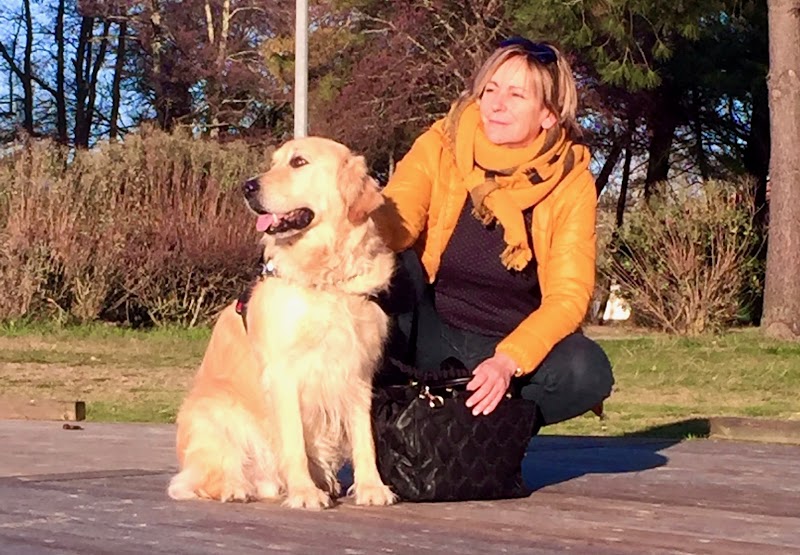 DOGGY LOV'S — dogsitter à Coutras