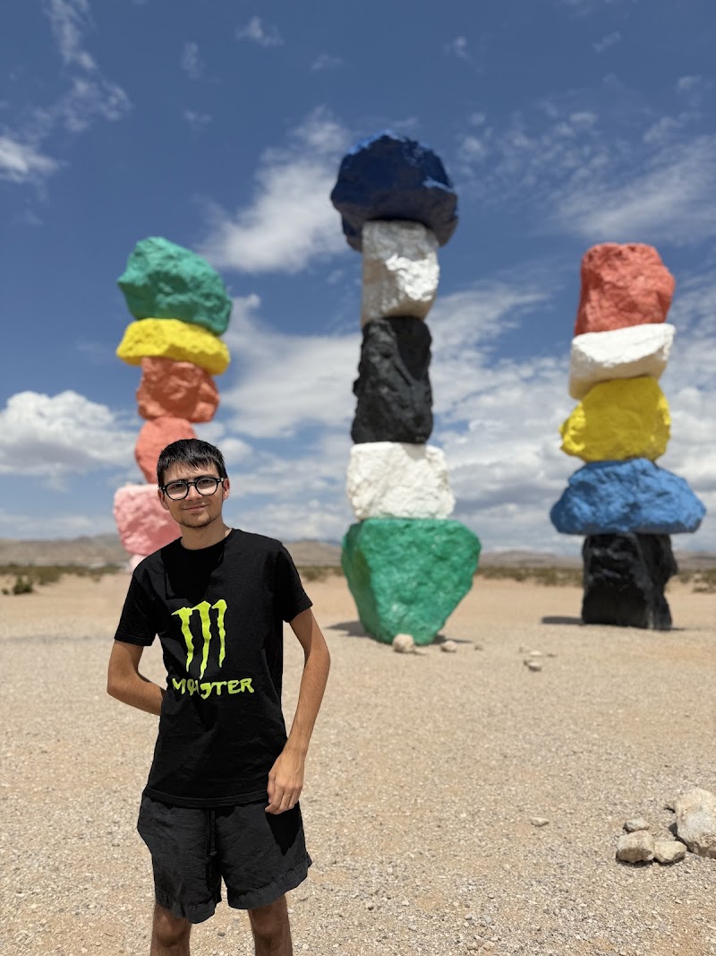 doggy zen — dogsitter à Nîmes