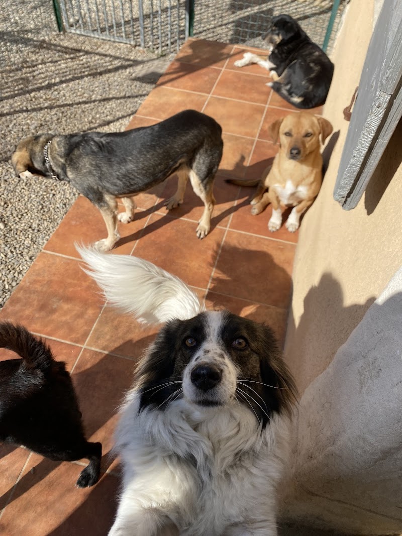 Domaine Belle Terre Cent Pas — dogsitter à Manosque
