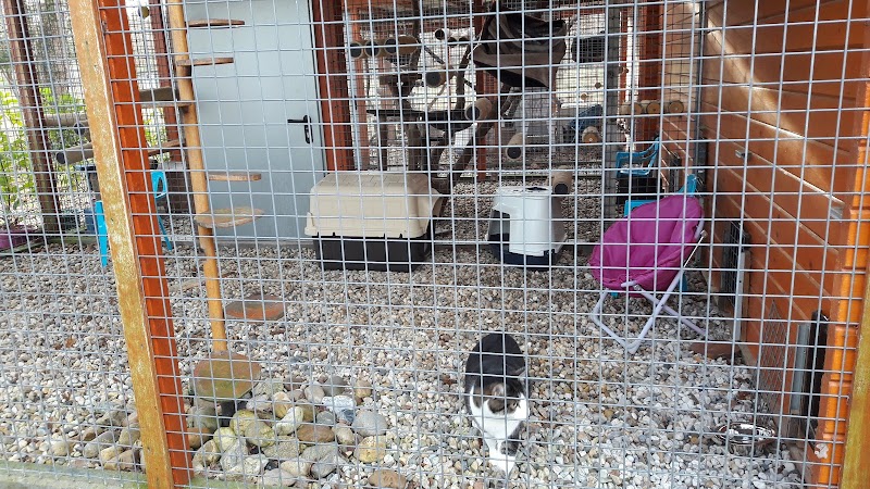 Domaine D'elma pension chien et chat — dogsitter à Saint-Jean-d'Illac