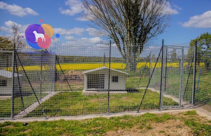 Domaine de Ruby Pension canine et féline — dogsitter à Montfort-sur-Meu