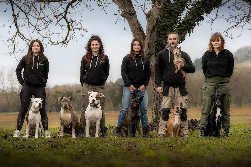 Educ Et Moi 24 — dogsitter à Saint-Astier