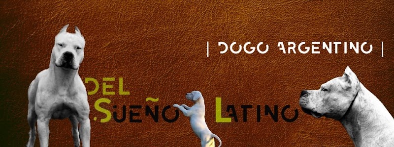 Élevage canin et pension canine Del Sueño Latino à Jans (Loire Atlantique 44) — dogsitter à Nozay