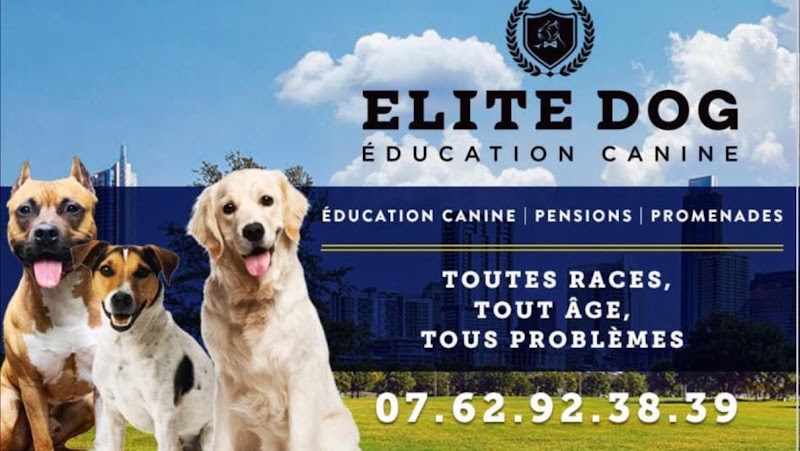 Elite dog — dogsitter à Boulogne-Billancourt