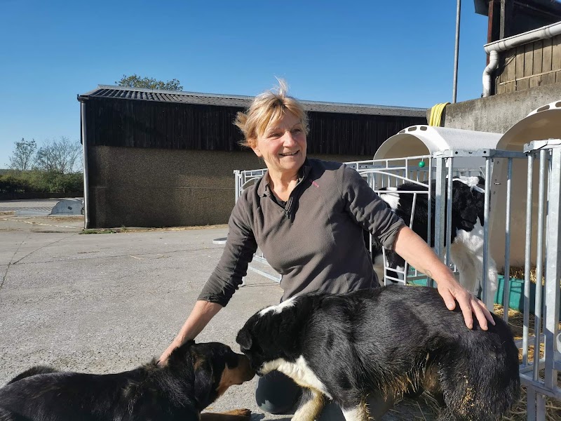 Escam'pet — dogsitter à Hautmont