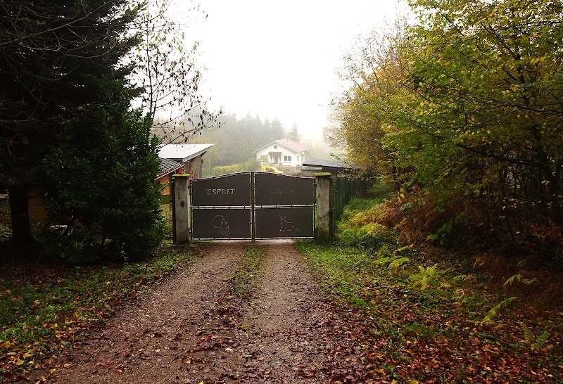 Esprit Canin — dogsitter à Barr