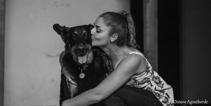 Fée Avec Amour (anciennement Nounou Au Poil) — dogsitter à Colomiers