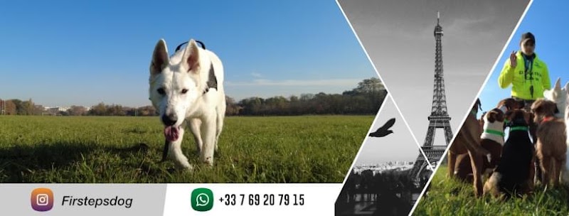 Firsteps Dog
