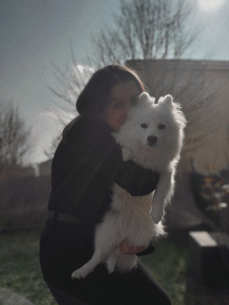 Garde mon toutou — dogsitter à Valenciennes