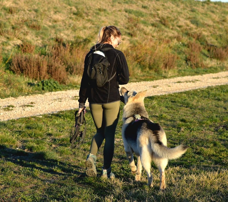 Garde Toutous et Compagnie à votre domicile — dogsitter à Arles