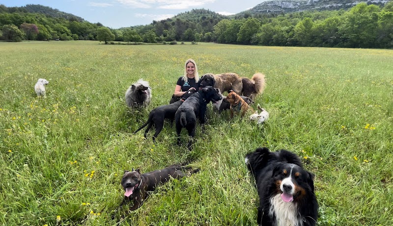 Gardiennage Confiance — dogsitter à Marseille