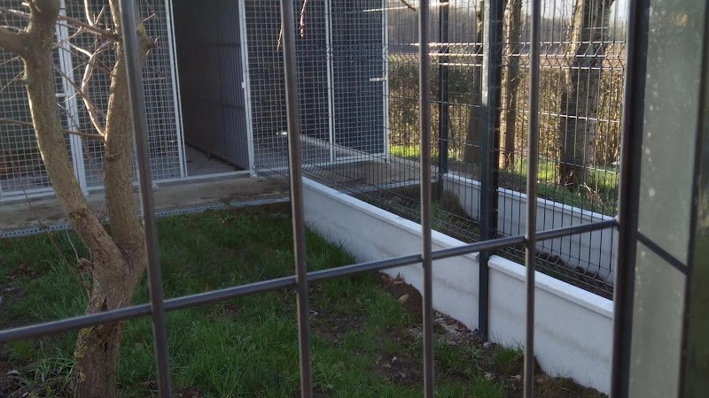 Gite canin du flo vert — dogsitter à Saint-Omer