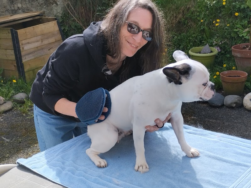 GodoG B2B — dogsitter à Bagnères-de-Bigorre