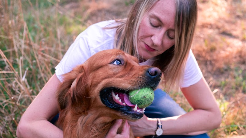 Golden Pet Sister — dogsitter à Bordeaux