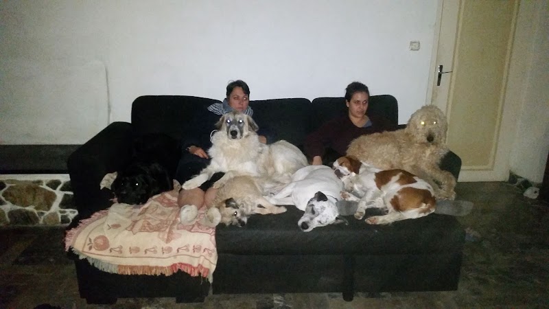 Happy Paws Wagtastic Vacation Home For Dogs — dogsitter à Lannemezan