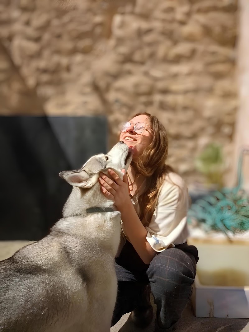 Happy Toudoux — dogsitter à Saintes