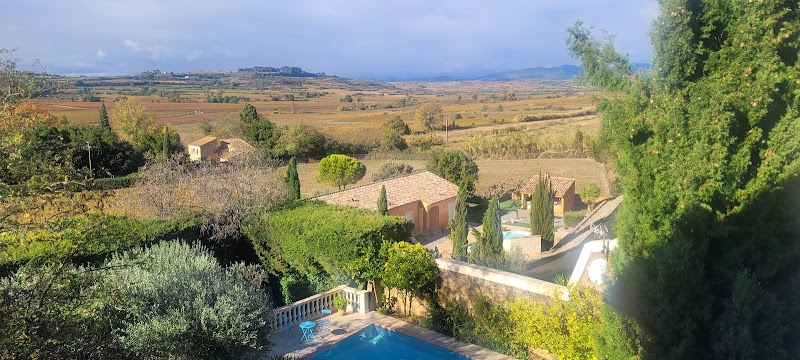 Homesitting — dogsitter à Nice