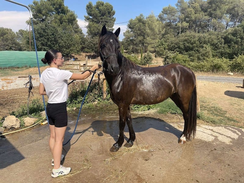 Hors'itting Provence — dogsitter à Aix-en-Provence