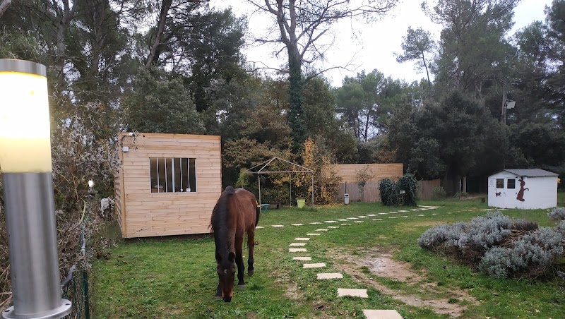 ID'FIX — dogsitter à Aix-en-Provence