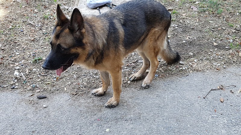 Jardin Joseph Pisano