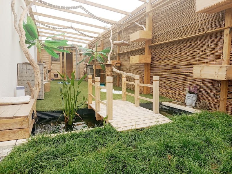 L'Arche de Lily — dogsitter à Saint-Nazaire