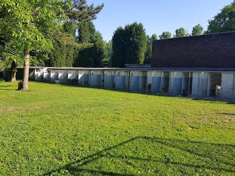 L'Arche de Noé — dogsitter à Valenciennes