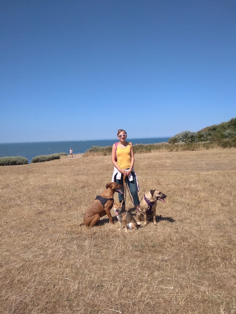 L'Arche de Retz Petsitter — dogsitter à Saint-Nazaire