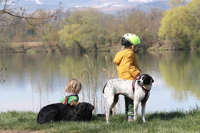 L'eden d'olanatis — dogsitter à Péronnas
