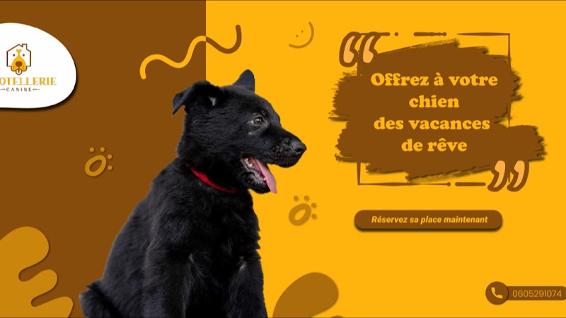 L'hôtellerie canine — dogsitter à Redon