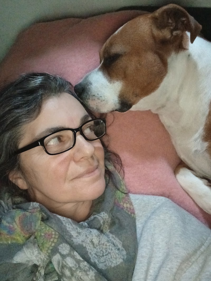 La bande à Youry — dogsitter à Beaucaire