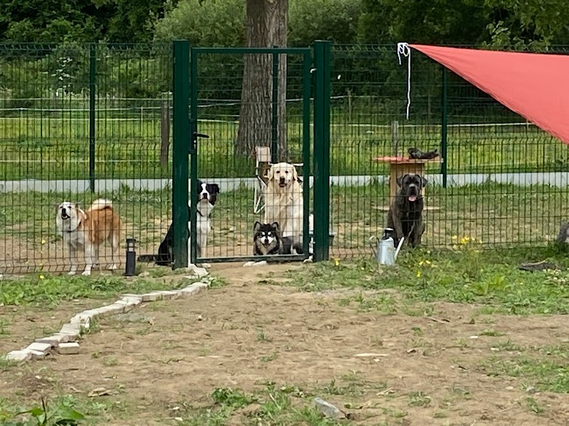 La Chaumière Aux Poilus — dogsitter à Dinan