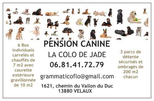 LA COLO DE JADE — dogsitter à Aix-en-Provence