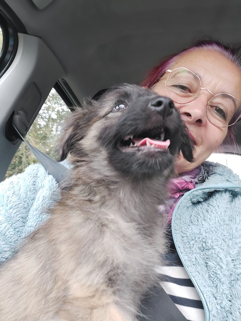 LA FERME DE CABALOU — dogsitter à Saint-Astier