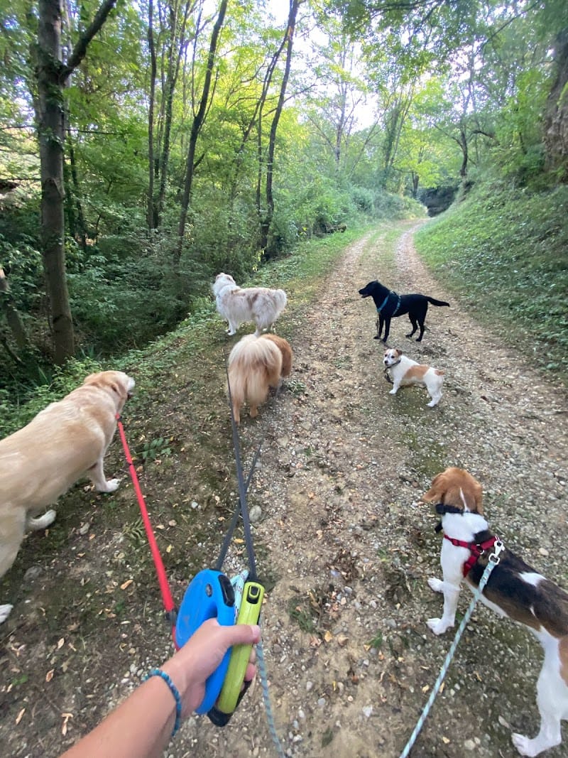La garde à Éline — dogsitter à Pamiers
