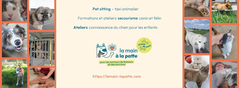 La Main à la Patte — dogsitter à Tourcoing
