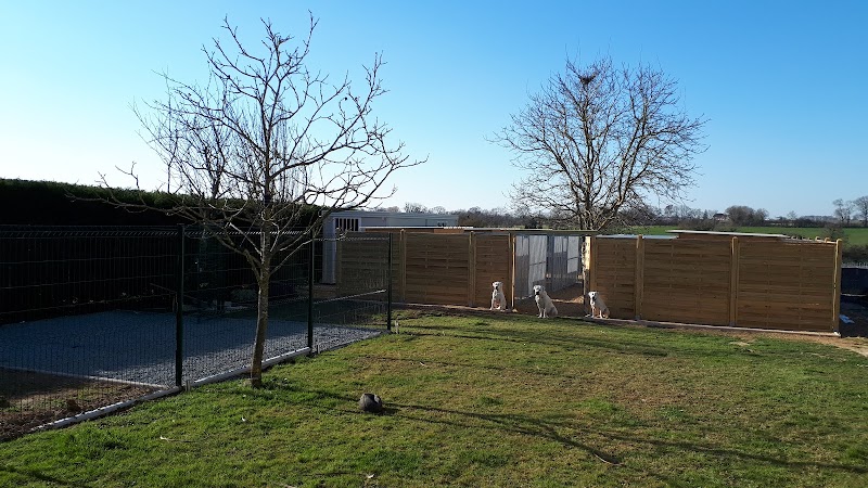 La Maison Des Anges — dogsitter à Sèvremoine