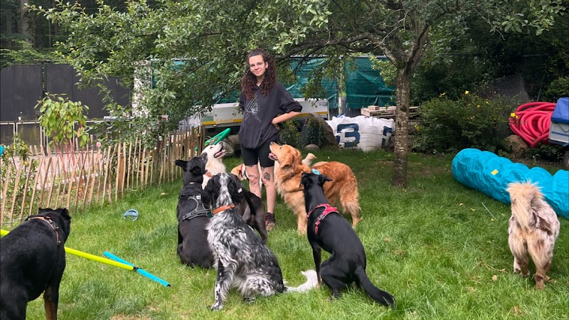 La Meute d’Ayka — dogsitter à Cergy