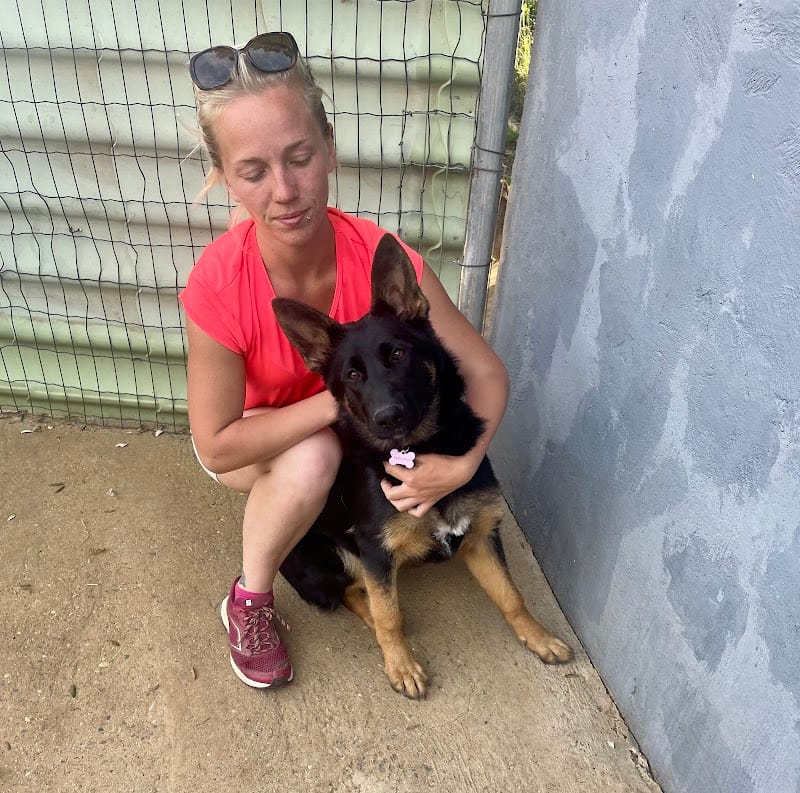 La Pension du Mont-Ventoux — dogsitter à Carpentras