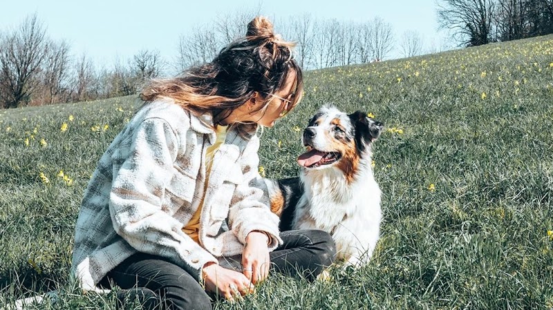 La petite meute de Laura — dogsitter à Lyon