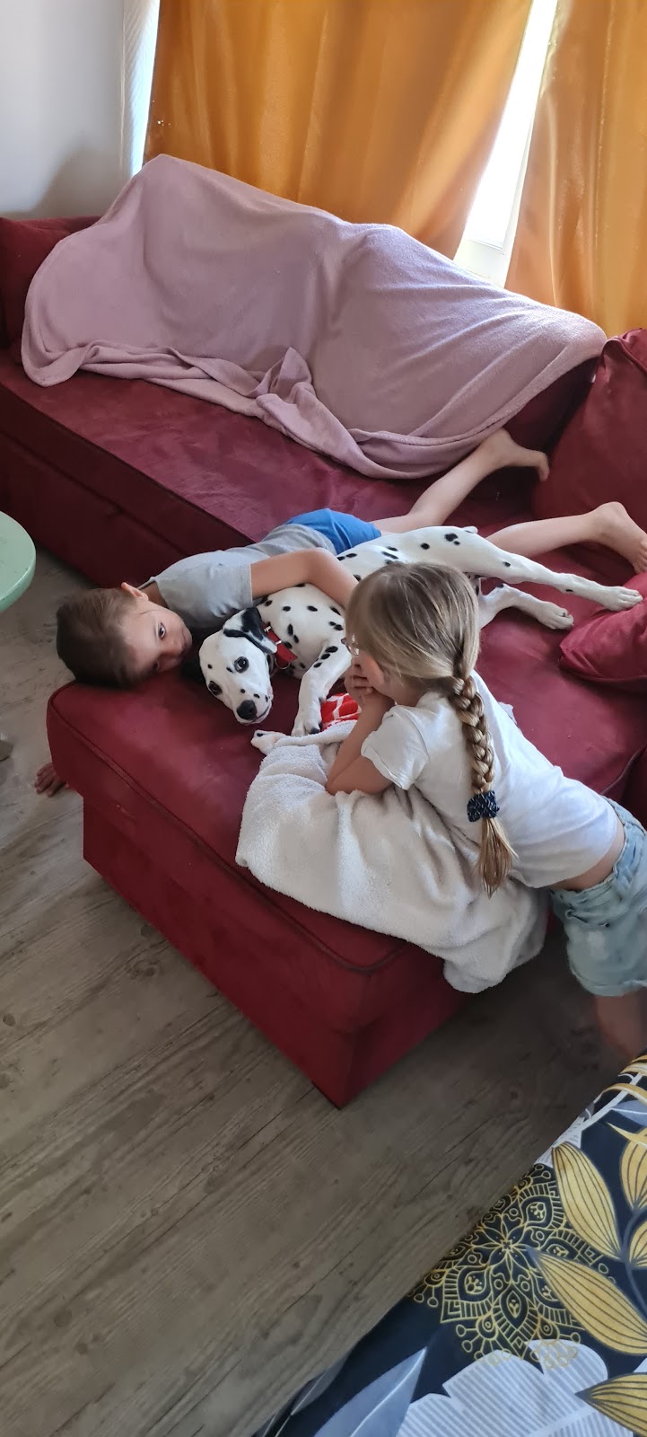 La Petite Vallée des Chiens. — dogsitter à Fougères