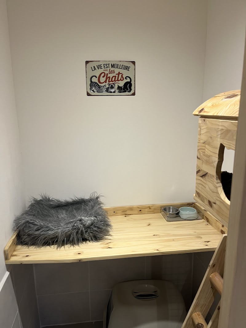 La tanière des poilus — dogsitter à Lens