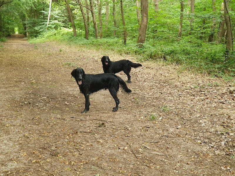 La zen Attitude Canine — dogsitter à Montreuil