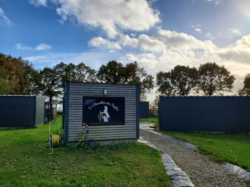 Le Chevallier des Truffes — dogsitter à Montfort-sur-Meu