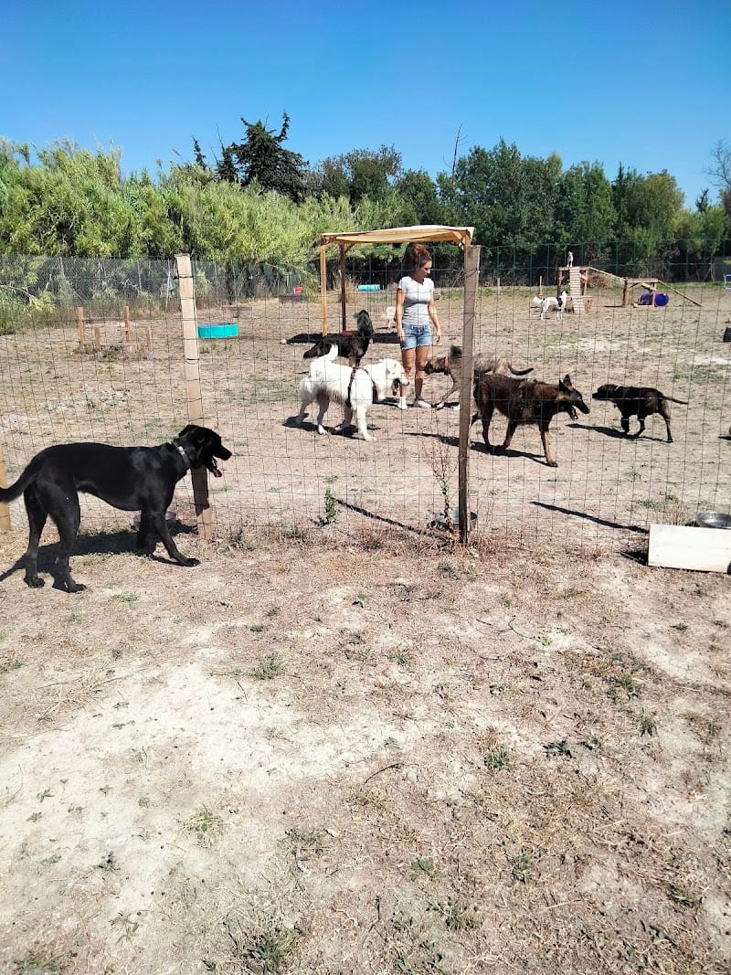 Le Domaine des Prades — dogsitter à Nîmes