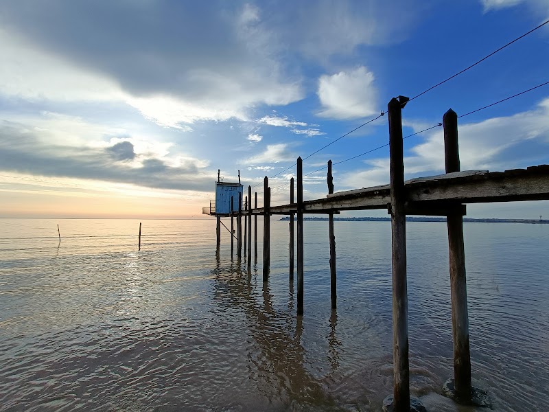 Le Grand Marais — dogsitter à Royan