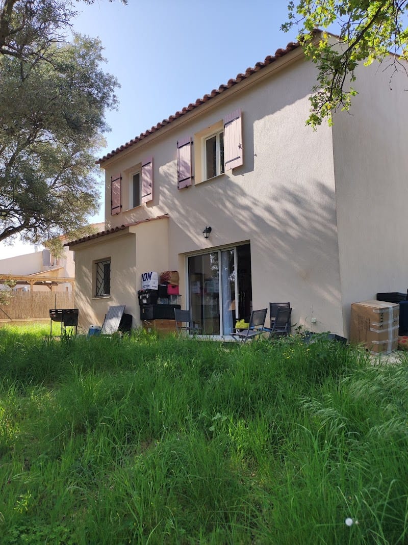 Le monde de Locky — dogsitter à Toulon