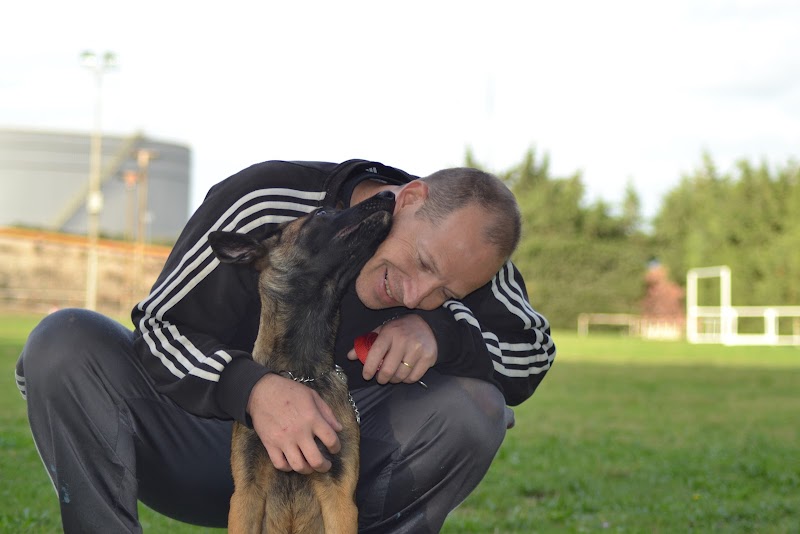 Les 4 pattes mobiles — dogsitter à Martigues